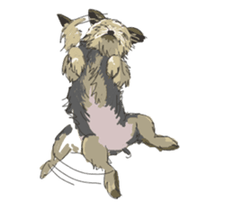 Cutie Yorkshire Terrier sticker #13210159