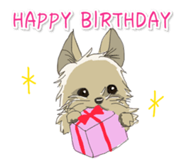 Cutie Yorkshire Terrier sticker #13210163
