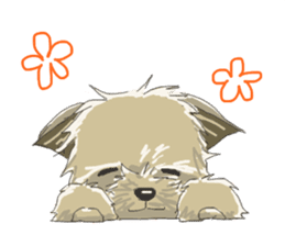 Cutie Yorkshire Terrier sticker #13210164