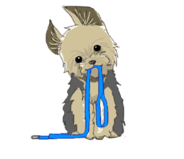 Cutie Yorkshire Terrier sticker #13210165