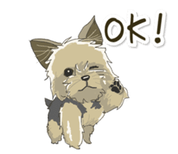 Cutie Yorkshire Terrier sticker #13210169