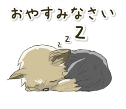 Cutie Yorkshire Terrier sticker #13210172