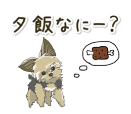 Cutie Yorkshire Terrier sticker #13210173