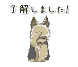 Cutie Yorkshire Terrier sticker #13210174