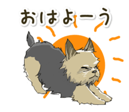 Cutie Yorkshire Terrier sticker #13210175