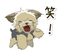 Cutie Yorkshire Terrier sticker #13210177