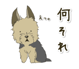 Cutie Yorkshire Terrier sticker #13210178