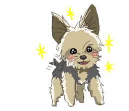 Cutie Yorkshire Terrier sticker #13210181
