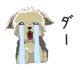 Cutie Yorkshire Terrier sticker #13210183