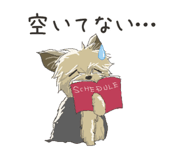 Cutie Yorkshire Terrier sticker #13210186