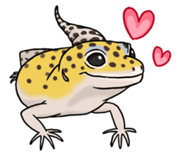 Leopardgeckos sticker #13212327