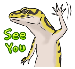 Leopardgeckos sticker #13212332