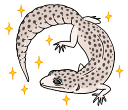 Leopardgeckos sticker #13212348