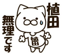 UEDA-cat sticker #13212836