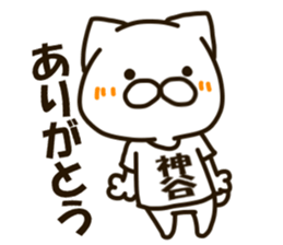 KAMIYA-cat sticker #13212958