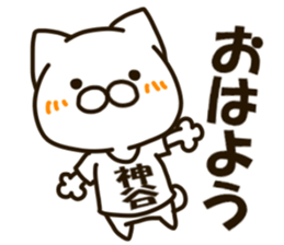 KAMIYA-cat sticker #13212960
