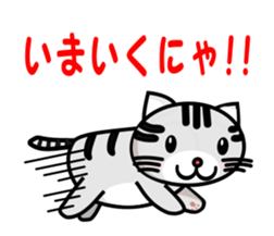 my cute cat sticker #13215182