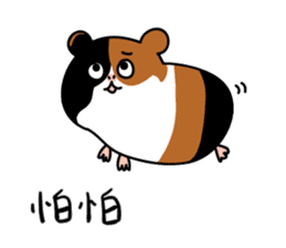 Guinea pig A Bu Lu sticker #13216159
