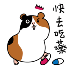 Guinea pig A Bu Lu sticker #13216161