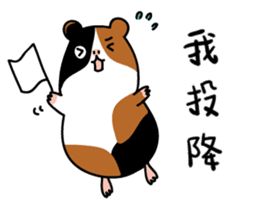 Guinea pig A Bu Lu sticker #13216162