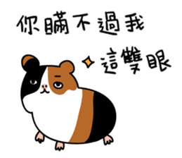 Guinea pig A Bu Lu sticker #13216165