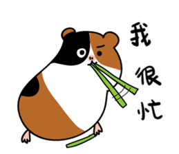 Guinea pig A Bu Lu sticker #13216171