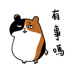 Guinea pig A Bu Lu sticker #13216172