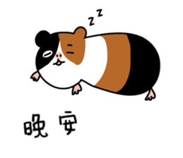 Guinea pig A Bu Lu sticker #13216177