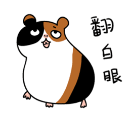 Guinea pig A Bu Lu sticker #13216180