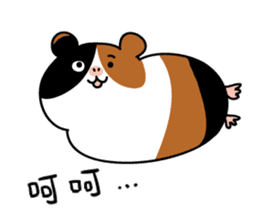 Guinea pig A Bu Lu sticker #13216190