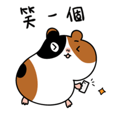 Guinea pig A Bu Lu sticker #13216191