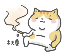 Ameow-network terms sticker #13218119