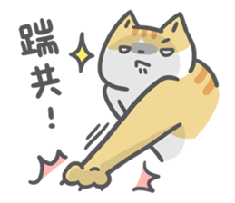 Ameow-network terms sticker #13218125