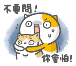 Ameow-network terms sticker #13218129