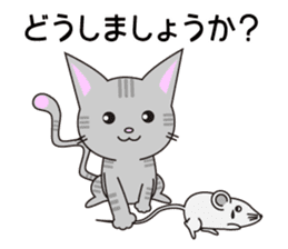 Considerate possible cat.1 sticker #13219375