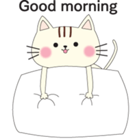 cat cat lover's sticker #13219550