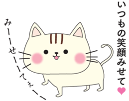 cat cat lover's sticker #13219580