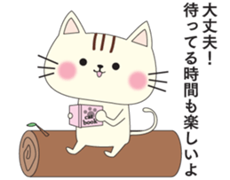 cat cat lover's sticker #13219583