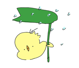 piyoko ! sticker #13220817