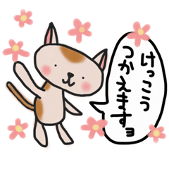 The cat answered by a respect language