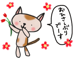 The cat answered by a respect language sticker #13221063