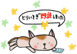 The cat answered by a respect language sticker #13221073