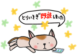 The cat answered by a respect language sticker #13221073