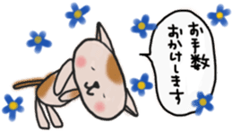 The cat answered by a respect language sticker #13221076