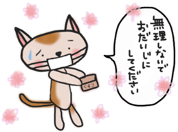 The cat answered by a respect language sticker #13221077