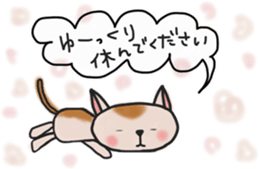 The cat answered by a respect language sticker #13221079