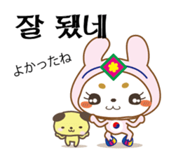 Pink Rabbit(Korean2) sticker #13221367