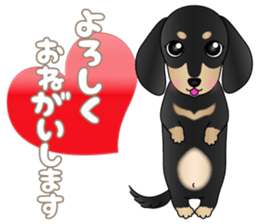 The Dachshund Black and Tan stickers sticker #13222639