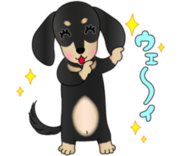 The Dachshund Black and Tan stickers sticker #13222646