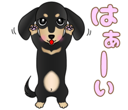 The Dachshund Black and Tan stickers sticker #13222649